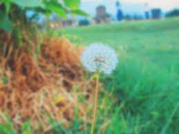 Pin Di Views Nature