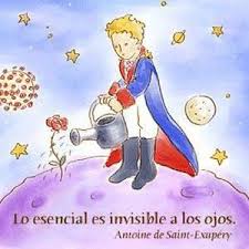 Resultado de imagen de frases emblematicas del petit prince