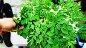 Jadi kau nggak perlu repot untuk mengkonsumsi atau memakainya. 0fnxk0aizgqjlm