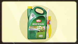 Check spelling or type a new query. How To Get Rid Of Weeds Fast Using Ortho Weed B Gon Weed Killer For Lawns Youtube