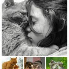  Risa Guslinda Risaguslinda Profile Pinterest