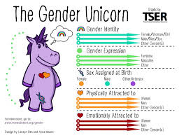 #lmsyt explains what #lgbtqia mean, short history of how their movement started with the #stonewallriots in 1969. Understanding Lgbtqia Identities Office Of Lgbtqia Education Engagement Ttu