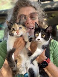 DARP Annual Report 2021