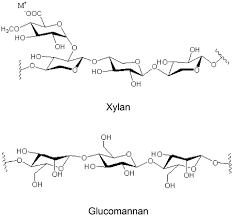 We did not find results for: Thermal Reactivity Of Hemicellulose And Cellulose In Cedar And Beech Wood Cell Walls Journal Of Wood Science Full Text