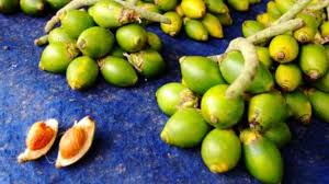 Sebab, daun teh punya kandungan kafein, kalsium, dan vitamin yang taunya bisa membentuk ukuran alat vital berubah lebih besar. Harga Pinang Kering Per Kilo Terbaru Juli 2021 Hargabulanini Com