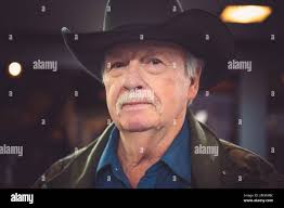 Vets welcome home hi-res stock photography and images