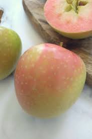 Malus domestica x malus niedzwetzkyanalocation: Hidden Rose Apples Eat Like No One Else