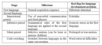 Image result for Language Milestone Red Flags