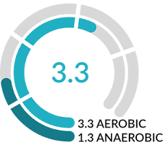 Image result for training effect schema