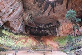 We also hiked the taylor creek trail in kolob canyon and liked it very much. Middle Fork Taylor Creek Trail Hiking Trail Toquerville Utah