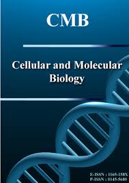 Image result for Athrixia phylicoides