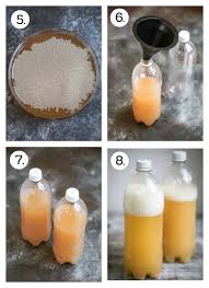 Just one bottle provides 20. Homemade Ginger Beer What Should I Make For