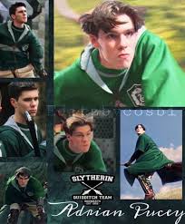 He was sorted into the house of slytherin and made it onto the slytherin adrian was on the team in harry potter's first year up to and including his fifth year; Pin On Adrian Pucey