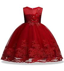 Wedding Dresses For Kids Holiday Celebration Bridesmaid Sleeveless Toddler Princess Children Lace Tutu Ball Gown Size 6 7 Age Of 6 Graduation Special Occasion C Wedding Dresses For Kids Kids Dress Childrens Dress