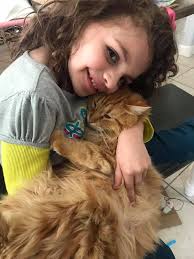 Missing orange female kitty she is microchipped and last seen around  Brentwood lane Muncie. Please contact me or Jon Mark Beaman if found.