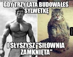 We did not find results for: Silownia Jak Kosciol Fitness Jak Religia Memy Rzad Zamknal Silownie Internauci Nie Maja Litosci Dziennik Polski