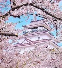See cherry blossom in japan is one of the most incredible experiences for a japan photo tour. Amazing Places To See Cherry Blossoms In Japan Travel Notes And Guides Trip Com Travel Guides