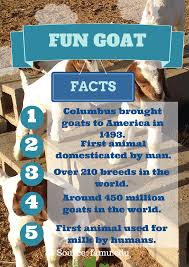 Pin On All Things Ag Educational Goat milk has many health benefits.