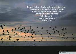 Hd Islamic Quotes For Desktop Islamic Quotes Beautiful Islamic Quotes Wallpaper Quotes