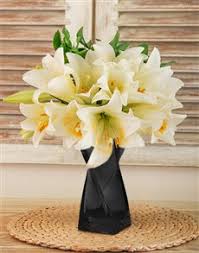 We did not find results for: Lilies Flowers Netflorist