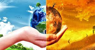 A klímaváltozás elleni harc részeként. Klimavaltozas Atalakuloban A Szoleszet Boraszat Varsanyi Pinceszet