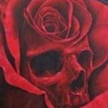 Stellar Rose