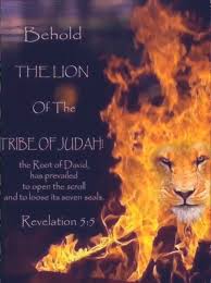 The Lion Of Judah Video Lion Of Judah Jesus Lion Of Judah Tribe Of Judah