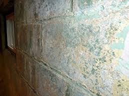 We did not find results for: How Should I Encapsulate A Basement Wall With Chipping Paint On A Porous Surface Home Improvement Stack Exchange