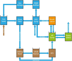 Water Flow Scheme Of The Multi Loop Aquaponics System As Proposed In Download Scientific Diagram