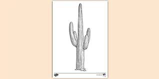 The story revolves around a particular cactus plant, and the. Free Printable Cactus Colouring Page Colouring Sheets
