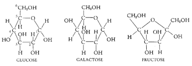 More images for what is the chemical formula of glucose » Sugar Chemical Formula