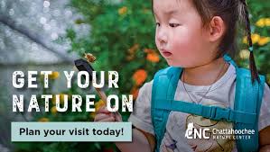 Top 10 Savannah field trips