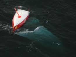 Media in category jean le cam. Insurers Refuse Vendee Loss Claim Yachting World