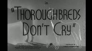 Trailer to 1937's thoroughbreds don't cry starring judy garland, mickey rooney and the wonderful sophie tucker! Thoroughbreds Don T Cry Available Now On Dvd Youtube