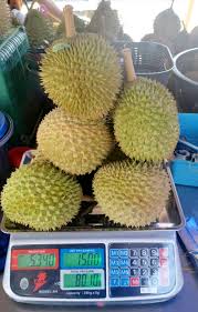 Semua nak rasa 😋 durian memang sedap 😁 sekarang ada berita baik untuk anda. Layan Musim Durian Musang King Dan Udang Merah Informasi Santai