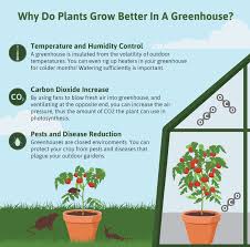 How does a garden greenhouse work. How To Build A Greenhouse Fix Com