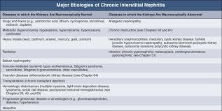 Interstitial Nephritis An Overview Sciencedirect Topics