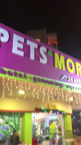 The pet shop story the need for a different kind of pet store inspired our founder to create the pet shop in 1975. Love Birds Pet Shops Home Facebook