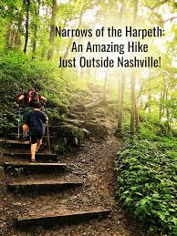 Taste some of the best pizza in the country when you visit slim & husky's pizza beeria in nashville. This Nashville Area Hike Has Unforgettable Views Nashville Hiking Nashville Trip Nashville Vacation