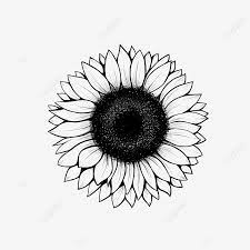 Lineart Sunflower Drawing Sunflower Sun Flower Png Transparent Clipart Image And Psd File For Free Download Sunflower Drawing Sunflower Illustration Flower Drawing