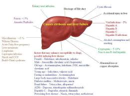 Most relevant best selling latest uploads. Causes Of Liver Failure Findings Of Cirrhosis 1 Thrombocytopenia Download Scientific Diagram