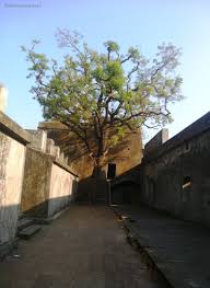 Sewri Fort and Sion Fort: Sorry State ...