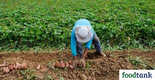 121 Food Organizations To Watch In 2021 Food Tank