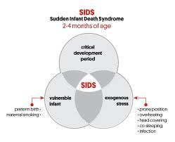 the triple risk model red nose