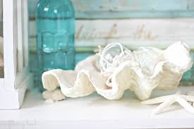 Check spelling or type a new query. Tutorial Giant Clam Bowl