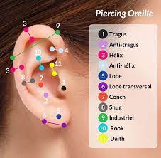 tipos de piercings na orelha voce conhece todos eles conhece eles orelha piercings tipo ear piercings chart cool ear piercings types of ear piercings