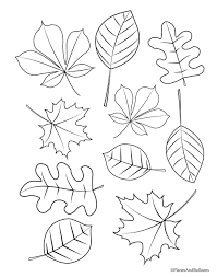 Fall coloring pages for kids fall leaves and acorn coloring page free printable coloring pages birijus com fall leaves coloring pages fall coloring sheets leaf coloring page. Autumn Leaves Coloring Pages Preschool 2nd Grade For Children Free Palm Kids Approachingtheelephant Coloring Home