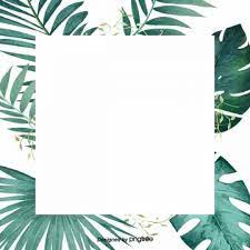 Elegant Green Leaf Palm Border Design Material Green Leaf Palm Leaf Png Transparent Clipart Image And Psd File For Free Download Abstraktnye Fony Tropicheskie Listya Fotooboi