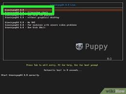 A little convenient page to get the latest puppy linux torrents in one click. How To Install Puppy Linux With Pictures Wikihow