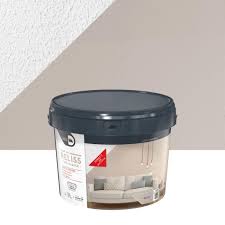 Peinture effet béton graphique loft original teinte moscou : Enduit Decoratif Reliss 2 En 1 Maison Deco Galet 15 Kg Leroy Merlin